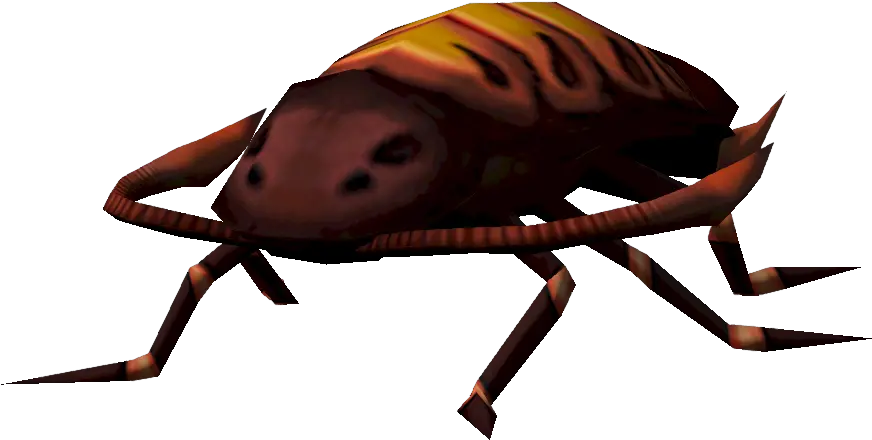 Warped Cockroach Weevil Png Roach Png