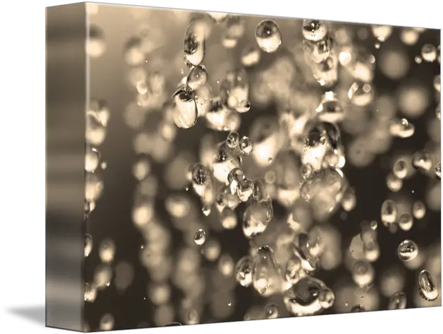 Dripping Water Colos By Homero Campos Macro Photography Png Dripping Water Png