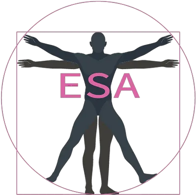 Exercise Science And Health Academy Vector Vitruvian Man Png Workout Silhouette Icon Vector Free