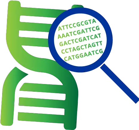 Medicinal Genomics Solutions For Safe Quality Cannabis Genome Sequencing Icon Png Laboratory Information System Icon For Results