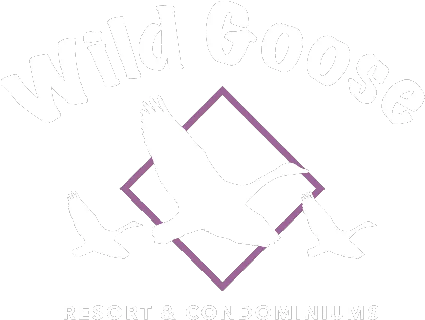 Wild Goose Resort Pigeons And Doves Png Goose Png