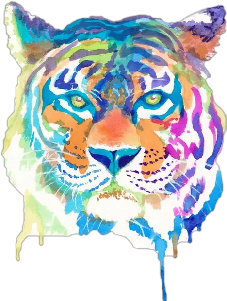 Tiger Stripes Things To Draw With Watercolour Png Colourful Tiger Painting Tiger Stripes Png