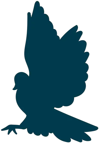 Pigeon Wing Silhouette Transparent Png U0026 Svg Vector File Buzzard Pigeon Png