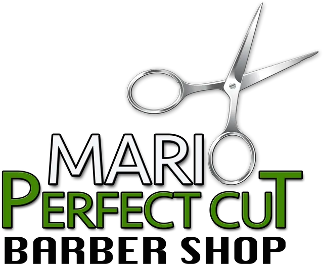 Services De Dj Professionel À Montreal Sound Party Productions Hair Shear Png Mario Party Logo