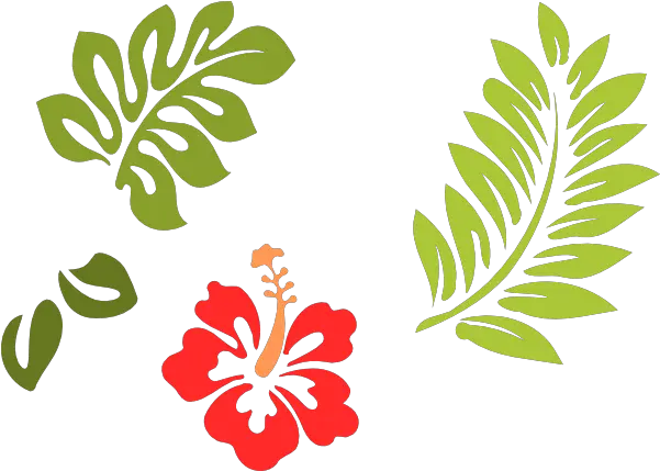 Hibiscus 24 Clip Art Vector Clip Art Online Hibiscus Clip Art Png Hibiscus Png