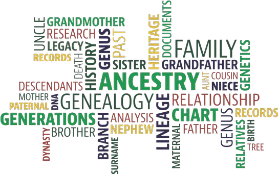 3 Free Genealogy U0026 Family Tree Vectors Pixabay Family History Month Png Family Word Png