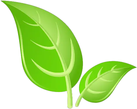 Green Leaves Png Images Hd Play Green Leaf Png Hd Leaf Png