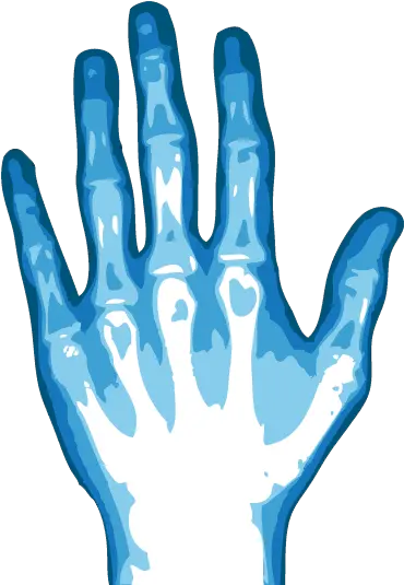 Free Png X X Ray Png X Ray Png