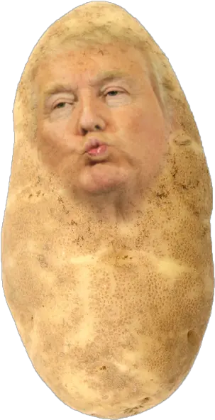 Potato Trump Jellyfruity The Anime Wiki Fandom Trump As A Potato Png Trump Png