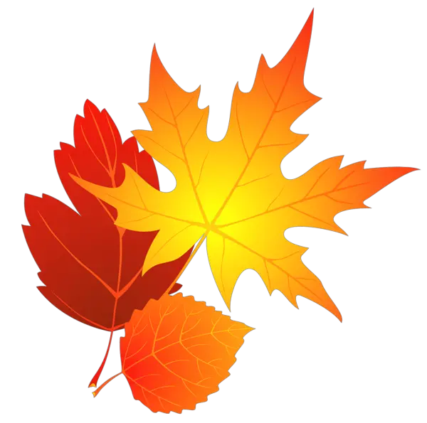 Autumn Leaves Clip Art Transparent Background Fall Leaf Clipart Png Autumn Leaves Png