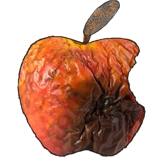 Ode To A Rotting Apple U2013 Designs Apple Bad Png Apple Transparent