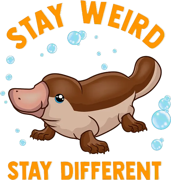 Funny Stay Weird Different Cute Platypus Face Mask For Animal Figure Png Platypus Icon