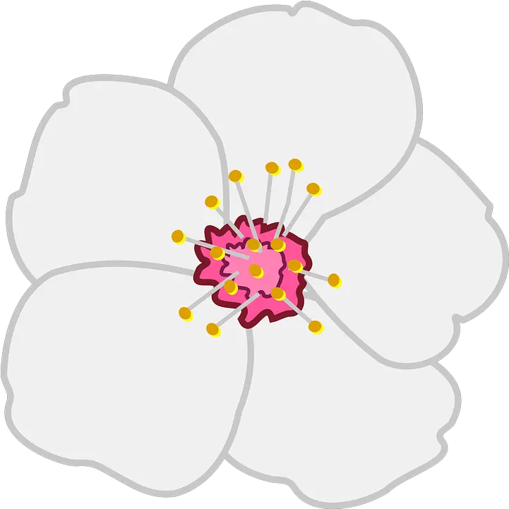 Corona De Flores Png Vector Clip Art Library Almond Tree Flower Clipart Flores Png