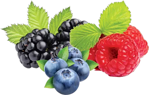 Berry Berry Mix Png Berry Png
