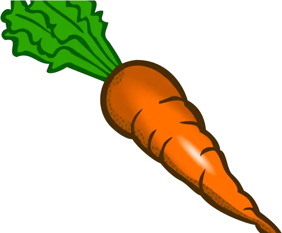 Carrot Png Clipart Transparent Carrot Clipart Png Carrot Transparent