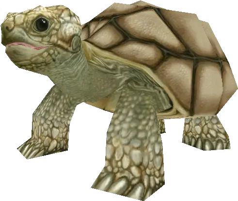 Zoo Tycoon 2 Tortoise Galápagos Tortoise Png Tortoise Png