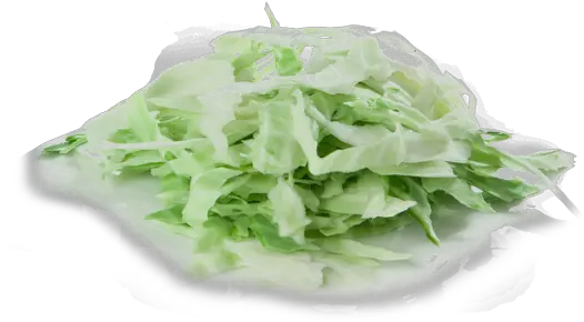 Shredded Iceberg Lettuce Iceburg Lettuce Png Lettuce Png