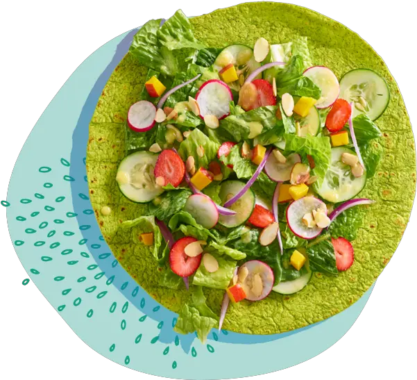 Home Salata Salad Png Salad Png