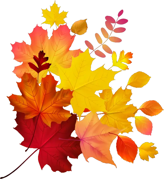 Download Autumn Color Leaf Maple Royalty Free Download Hq Colour Leaf Png Autumn Png