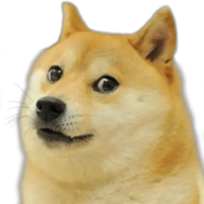 Le Transparent Doge Template Has Arrived Dogelore Dog Meme Sticker Png Roblox Template Transparent