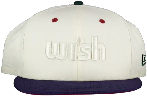 Accessories U2013 Wish Atlanta For Baseball Png Obey Icon Black Strapback Hat