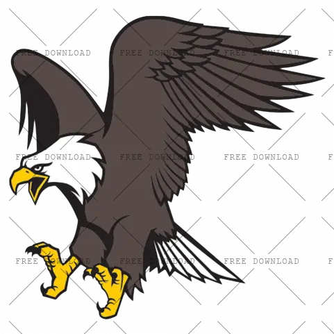 Eagle Hawk Kite Bird Png Image With Transparent Background Eagle Bird Transparent Background Bald Eagle Transparent