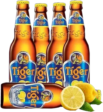 Tiger Beer Bucket Png Image Beer Bucket Tiger Big Bottle Beer Bucket Png