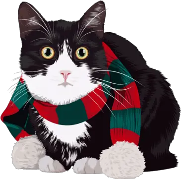 Cartoonize Your Cat Gatos De Navidad Png Christmas Cat Icon