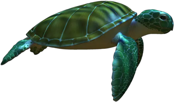 Green Sea Turtle Animation Turtle Png Download 960540 Penyu Hijau Penyu Animasi Turtle Transparent Background