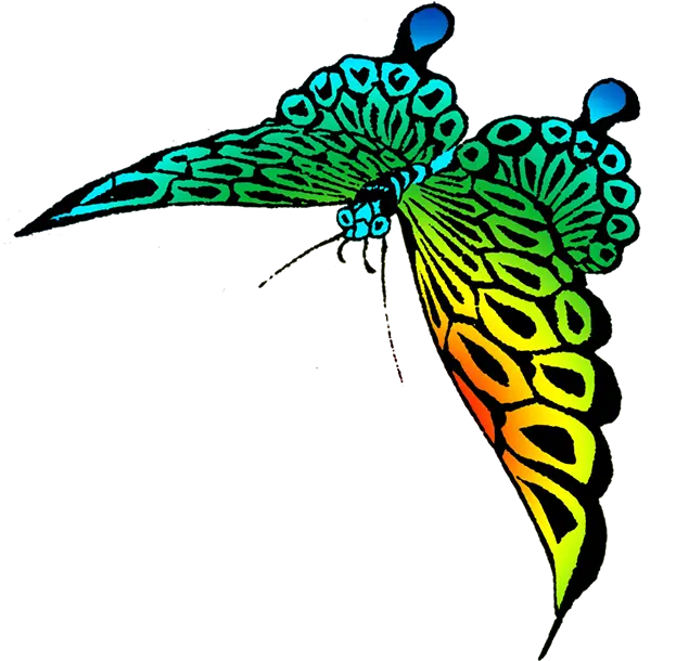 Flying Butterfly Png Image With Transparent Background Rainbow Butter Fly Wings Flying Butterfly Png