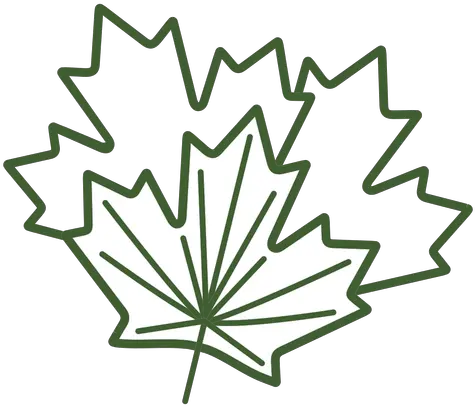 Maple Tree Leaf Icon Transparent Png U0026 Svg Vector File Language Maple Leaf Icon