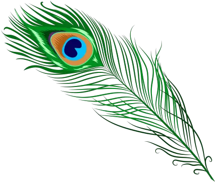 Peacock Feather Png Image Transparent Background Peacock Feather Png Peacock Feather Png