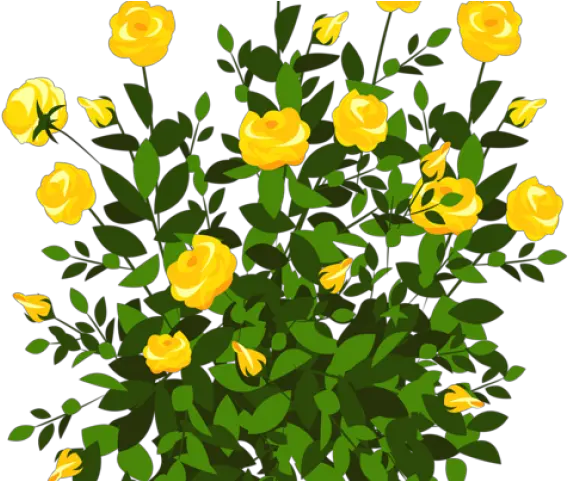 Bush Plan Png Rose Bush Clipart Flowery Bush With Yellow Rose Plant Png Rose Bush Png