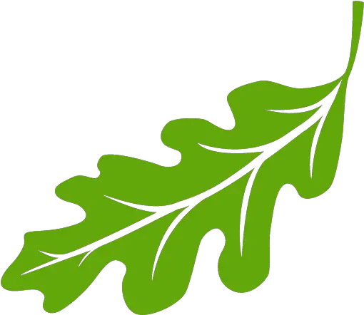 Cropped Leaflogo512512png U2013 Oak Leaf Promotions Clip Art Leaf Logo