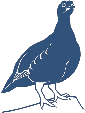 Volume 114 Issue 4 British Birds British Birds Png Tit Icon