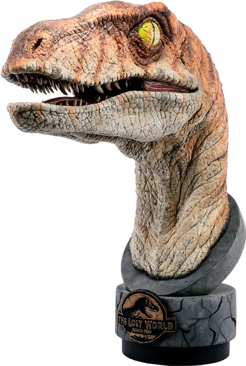 Male Raptor Life Size Bust Jurassic Park Ancient Animals Jurassic Park The Lost World Velociraptor Png Velociraptor Png