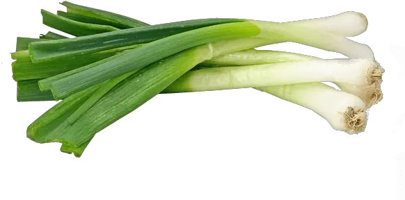 Spring Onions Baro Spring Onion Transparent Background Png Onion Png