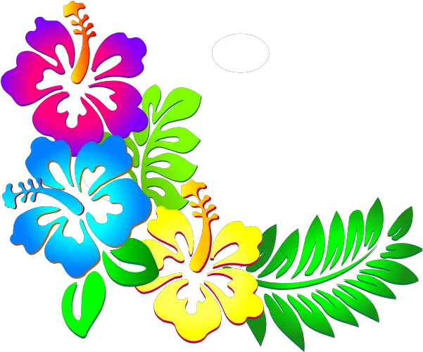 Hibiscus Flower Border Transparent Hibiscus Flowers Clip Art Png Hibiscus Flower Png