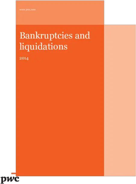 Pdf Pwc Guide Bankruptcies And Liquidations Evgeny Buben Vertical Png Lg A341 Icon Glossary