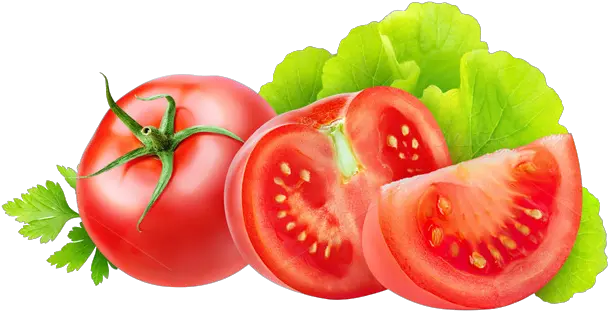 Free Tomato Transparent Download Tomato Png Tomatoe Png