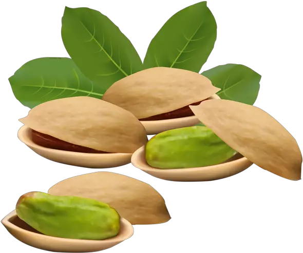 Pistachio Nuts Png Clipart Image Pistachio Vector Nuts Png