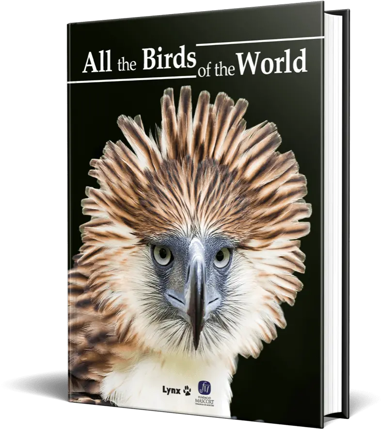 Lynx Edicions U2013 Publishers Of The Highly Acclaimed Handbook Change You Want To See Png Birds Transparent