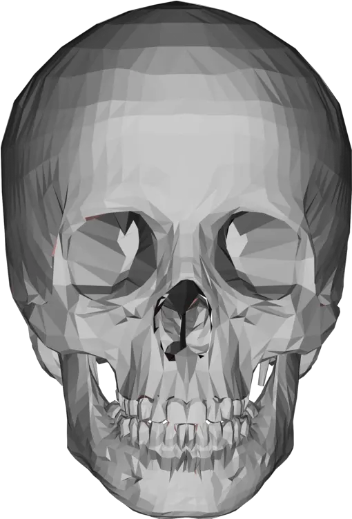 3d Skull Png U0026 Free Skullpng Transparent Images 67058 3d Model Skull Png Skulls Png