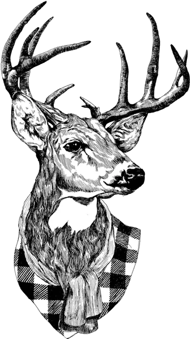 Transparent Via Tumblr Uploaded By Stormy Hipster Imagenes Png Deer Png