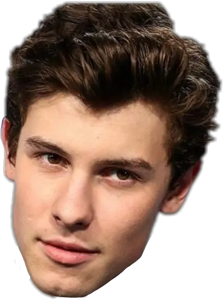 Download Hd Report Abuse Shawn Mendes Head Png Shawn Mendes Png