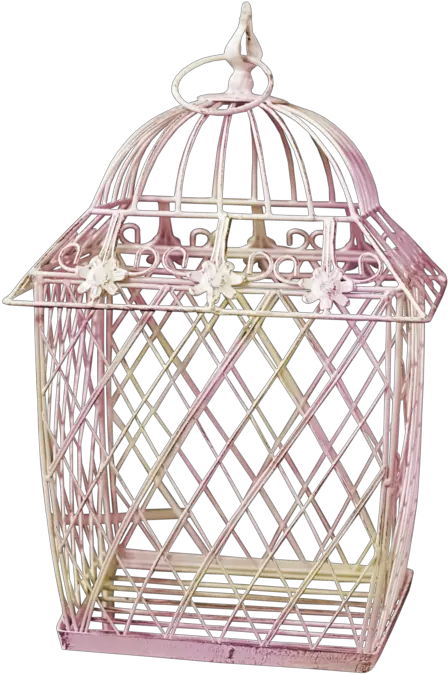 Download Hd Empty Bird Cages Cage Transparent Png Image Birdcage Cage Png