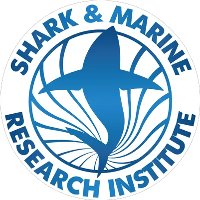 Shark Marine Research Institute Shark And Marine Research Institute Png Shark Logo Brand