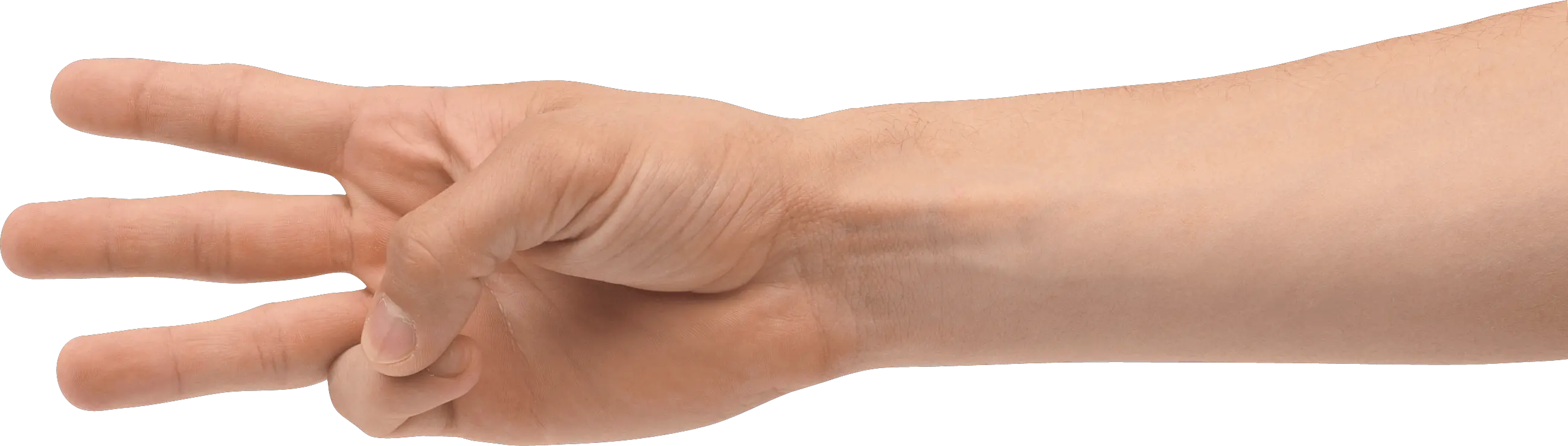 Flower Hand Png