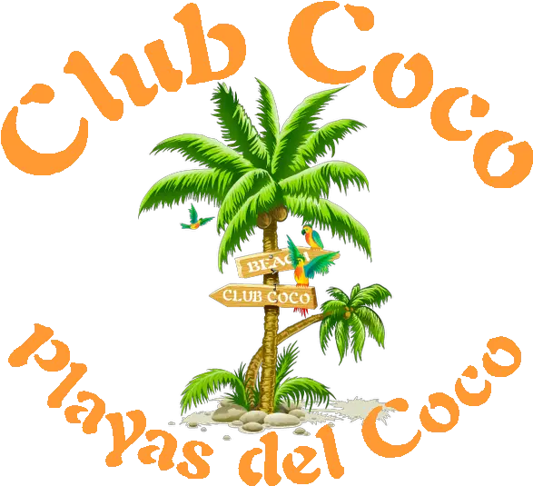 Download Hd Cocologo1bi Coconut Tree Png Clipart Portable Network Graphics Coconut Tree Png