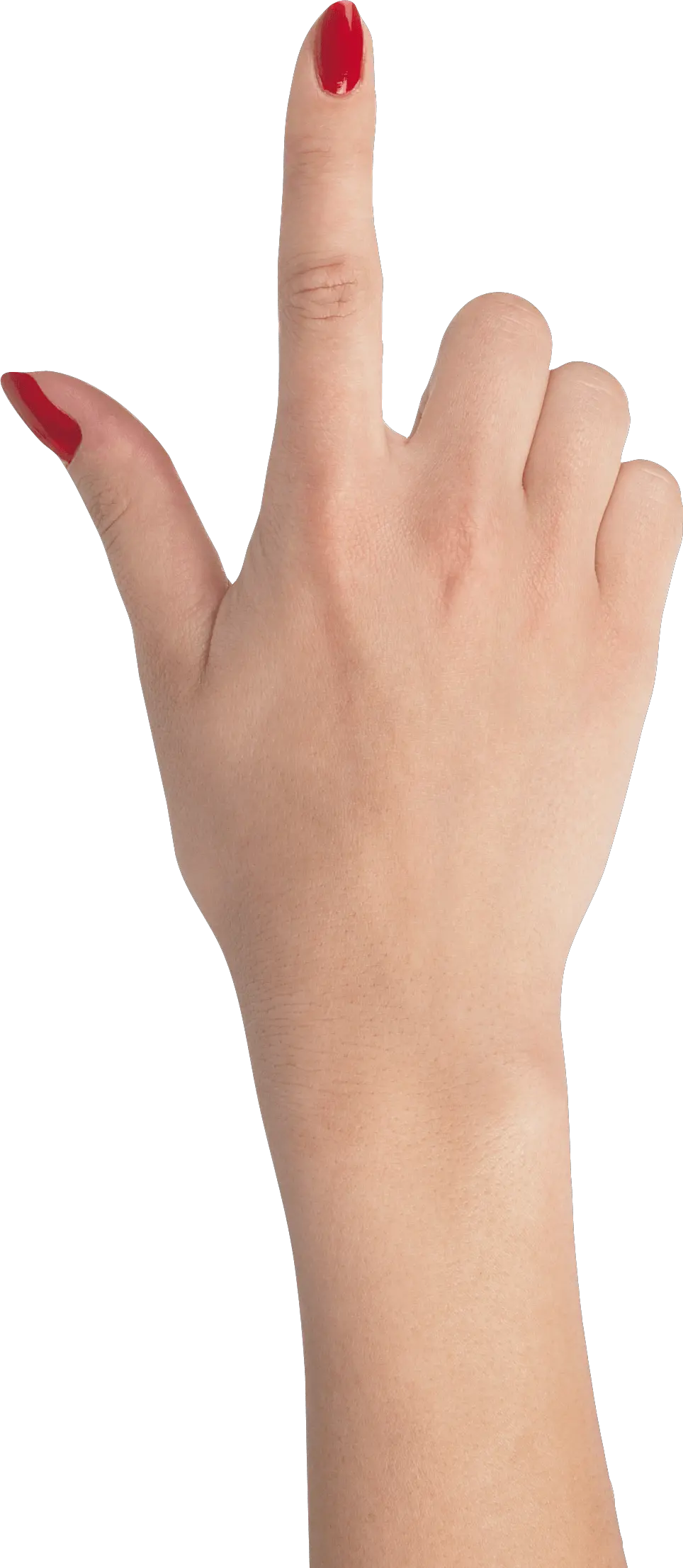 Family Holding Hands Png